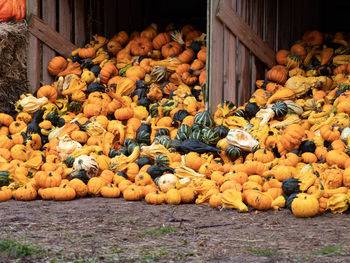 Stack of pumpkins for sale at market stall