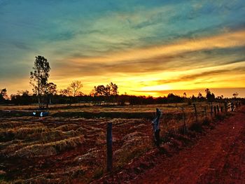 Scenic view of field against sky during sunset