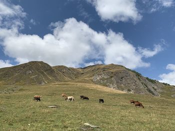 Sunny day at ushgul