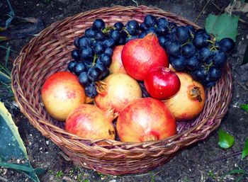 Close-up of fruits in basket