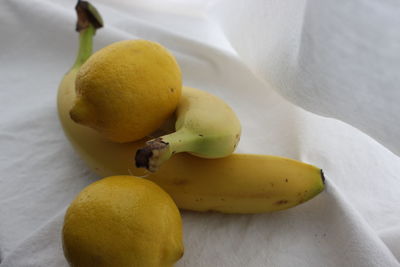 Close-up of fruits