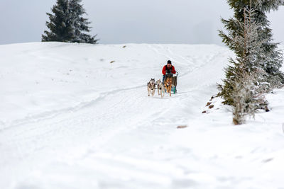 People riding motorcycle on snowcapped mountain