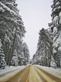 Road amidst snow covered trees against clear sky