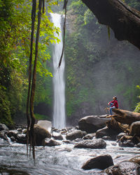 Rear view of man standing by waterfall in forest