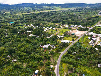 High angle view of trees and buildings in city