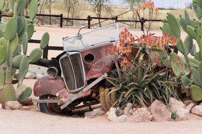 Old rusty car by plants