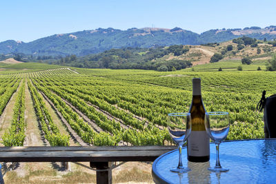 Wineglass on table against farm