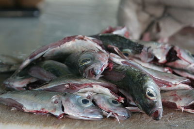 Close-up of fish in market