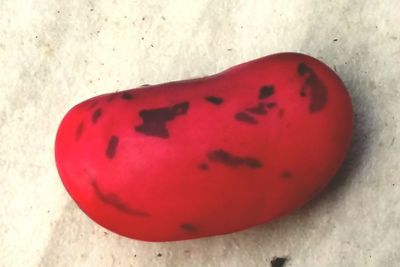 Close-up of red slice in sand