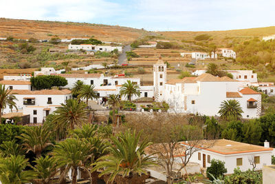 Cactus garden in the small town of betancuria, fuerteventura, canary islands