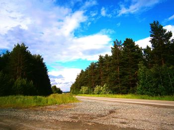 Road amidst trees in forest against sky