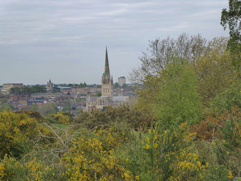 View of trees and buildings against sky