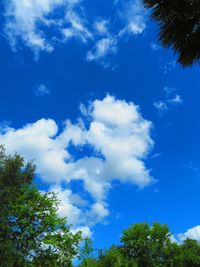 Low angle view of trees against blue sky
