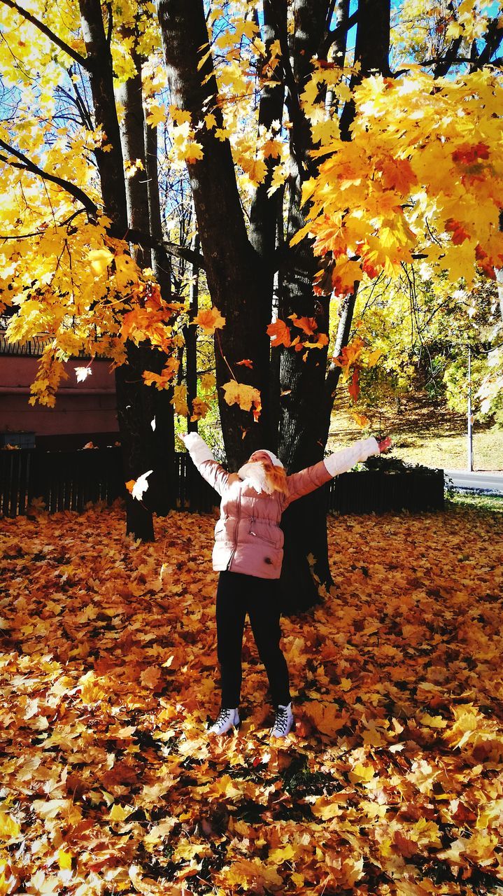 autumn, change, leaf, tree, nature, real people, full length, rear view, one person, day, outdoors, beauty in nature, leisure activity, men, lifestyles, maple leaf, standing, branch, women, fragility, building exterior, maple, people