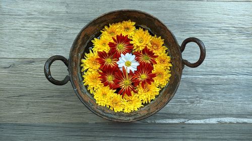 Close-up of yellow daisy on table