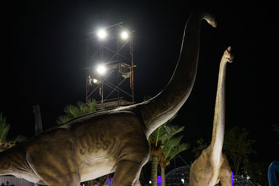 Low angle view of illuminated street light against sky at night