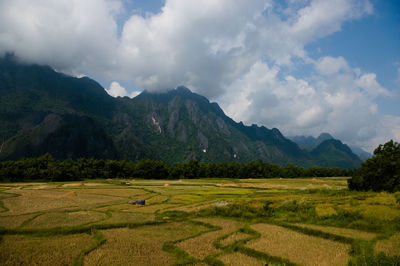 Scenic view of field against sky