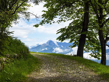 Trail in the italian alps of lake como