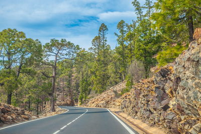 Road amidst trees against sky