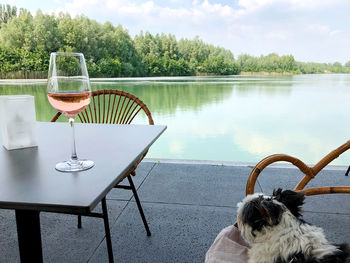 Chair on table by lake against sky