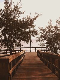 Empty pier amidst trees against sky