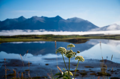 Scenic view of lake by mountains against sky