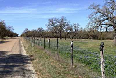 Road amidst field against sky