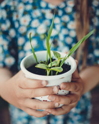 Close-up of woman holding small plant