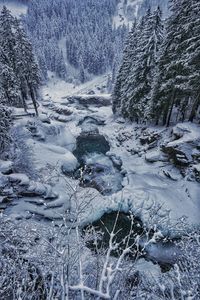 Scenic view of frozen river in forest during winter