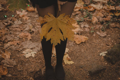 Low section of person standing on field during autumn