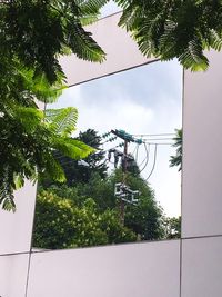 Low angle view of trees against sky