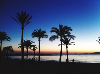 Silhouette palm trees on beach against sky during sunset