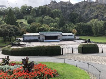 View of flowering plants in park