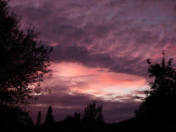 Silhouette of trees at sunset