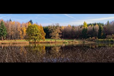 Scenic view of lake against sky during autumn