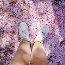 Low section of woman standing on pink flower