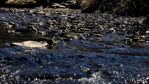 River flowing through rocks