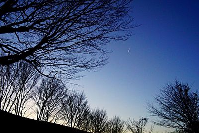 Low angle view of bare trees against blue sky