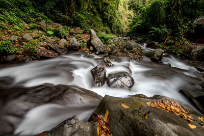 Stream flowing through rocks in forest