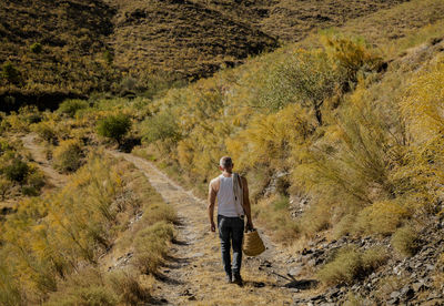 Rear view of man in white tank top and jeans walking on path in fields in summer