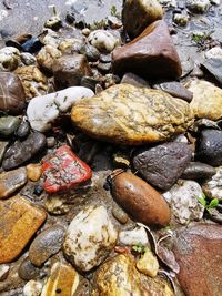 High angle view of pebbles on rock