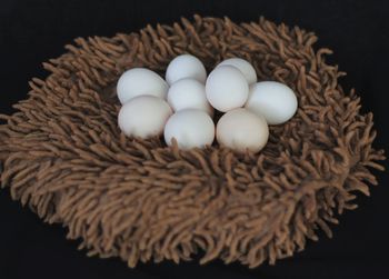 High angle view of eggs against black background