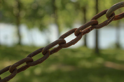 Close-up of chainlink fence