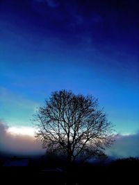 Silhouette bare tree on field against sky at dusk
