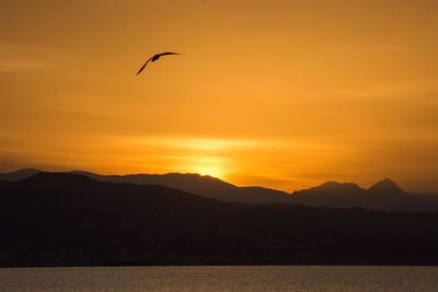 Silhouette bird flying over mountains against orange sky