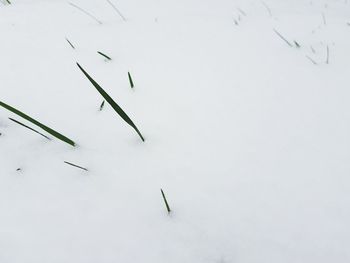 High angle view of snow on white background