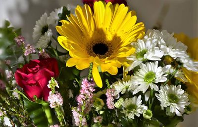 Close-up of yellow flowers blooming outdoors