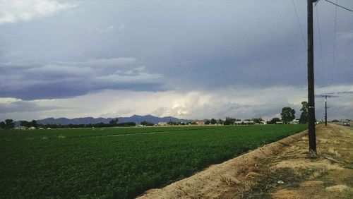 Scenic view of grassy field against cloudy sky