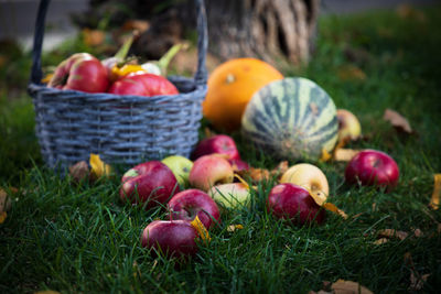 Close-up of apples in basket