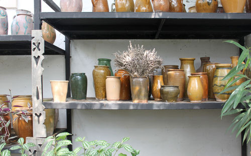 Close-up of potted plants in kitchen